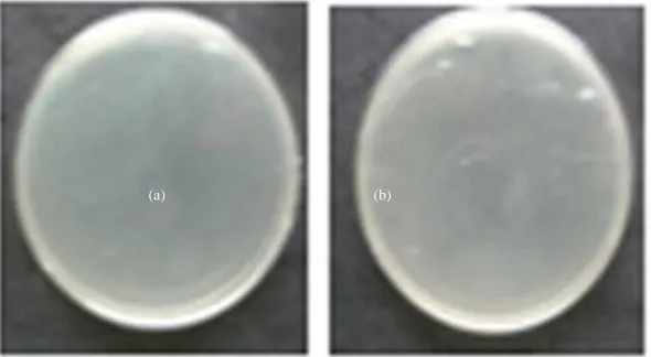 Figure 6:  Microbial cultivation of evidence sample without silver nanoparticles in the standard method in the presence of a) E