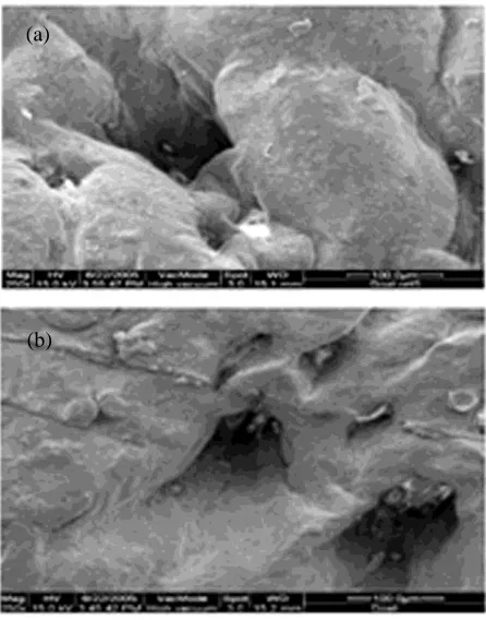 Figure 4:  X-RD absorption from leather sample a) without silver nanoparticles and b) with silver nanoparticles 