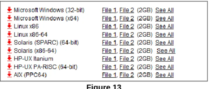 Figure 13  3.  Accept the License Agreement. 
