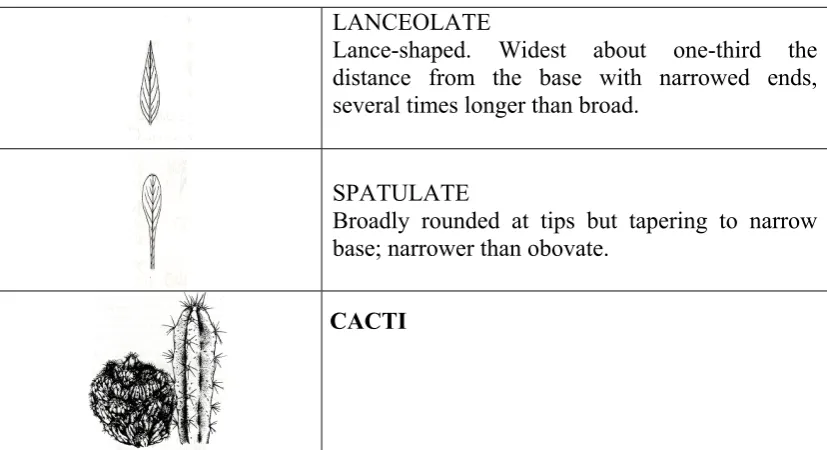 Table 1: Type of plant based on leaves shape  