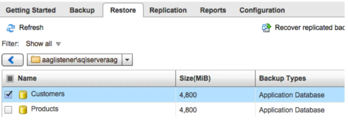 Figure 10. SQL Server Database Selected for Recovery in vSphere Data Protection