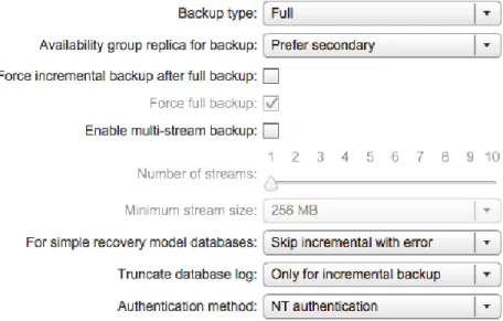 Figure 5. SQL Server AlwaysOn Cluster Backup Job Options