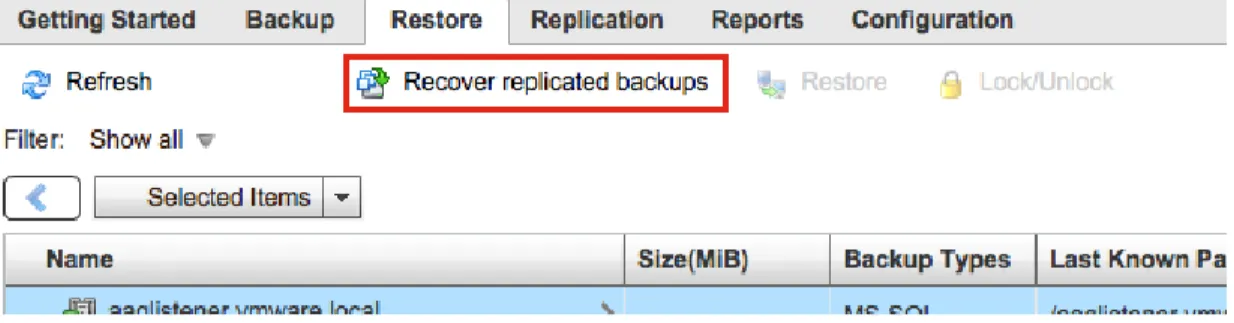 Figure 8. Recover Replicated Backups