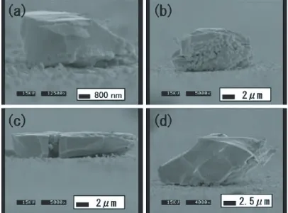 Fig. 1He plasma induced nanostructure on tungsten [5].