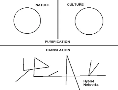 Figure 1 - Purification and Translation 