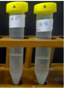 Table 2: Particle sizes for upper phase and lower phase for racemic TA-microgels (D and L) at pH 3 and pH 10 