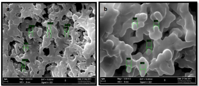 Figure 3: SEM image for lower phase of TA-microgel after the centrifuge process where a) D-tartaric acid microgels and b) L- tartaric acid microgels 