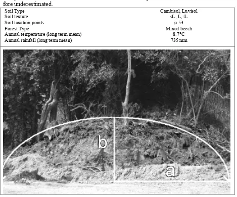 Figure 1:  Location characteristics and hedge-bank profile in Trenthorst 