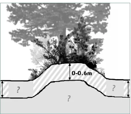 Figure 2: Depiction of described and unsurveyed soil areas of hedge-banks and adja-cent sites 