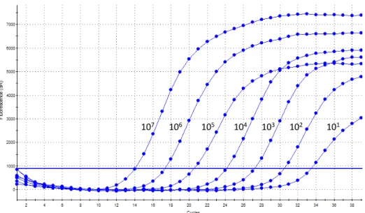 Figure  11.  Amplification  plot  of  a  10‐fold  serial  dilution  with  a  range  from  10 7   to  10 1   copies  of  the  target  gene.  Note  that  final  fluorescence  is  not  always  proportional  to  the  initial  amount  of  template  DNA.  In  co