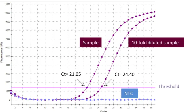 Figure  3.  Amplification  plot  in  lineal  scale  (A)  and  in  semi  logarithmic  scale  (3B).  Note  that  although  the  amplification  curves  display different shape the threshold value is the same in both cases. 