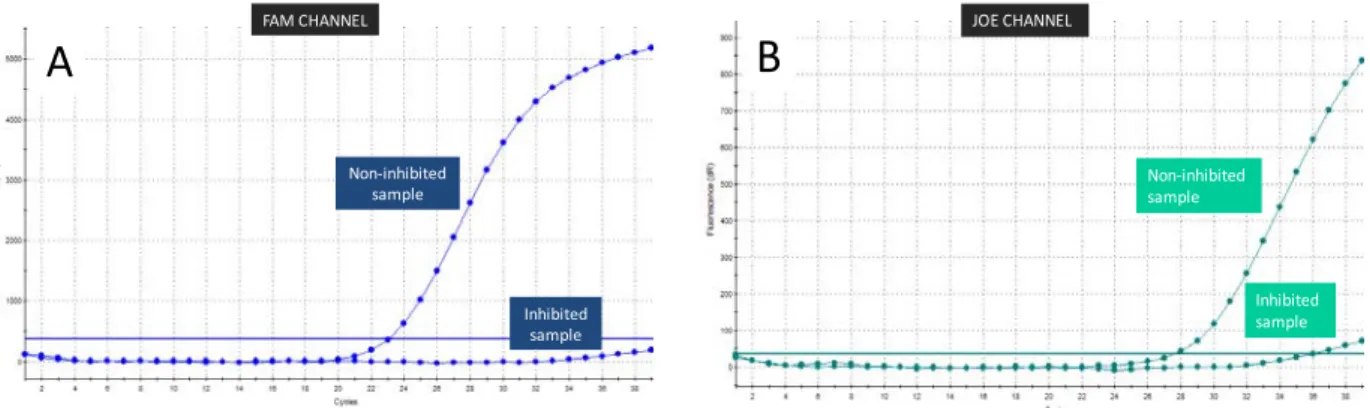 Table 1. Results interpretation for 2 fluorophore‐based Microbial detection systems   