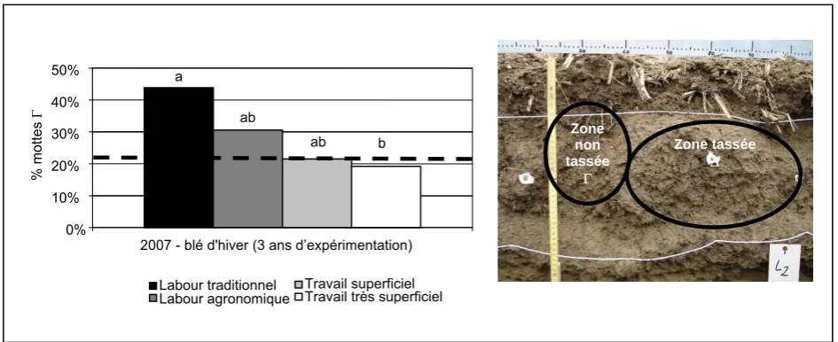 Figure 1 : Evolution du pourcentage de zones non compactées dans les sols (0-30 cm) pour quatre techniques initial du sol avant essai (a, b différences significative à p< 0.05)de travail du sol en grandes cultures – site Rhône-Alpes