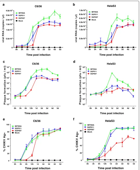 Figure 1 Replication kinetics of CHIKV isolates (IMTSSA, SGP011 and SGP007) in infected C6/36 and HeLa cells