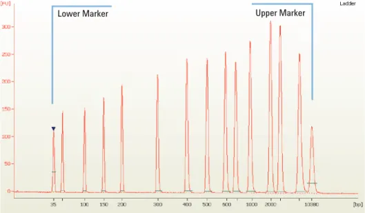 Figure 1 High Sensitivity DNA ladder