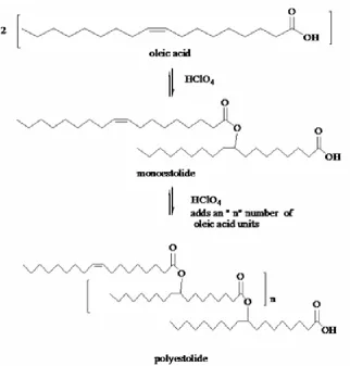 Figure 1 : Formation of estolide [5]