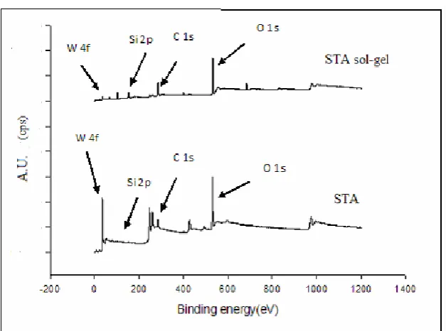 Table 3 : Binding energies (eV) for the surface main components of (a)  STA and (b)  STA sol-gel obtained by XPS   (Reference C 1s = 284.5 eV)