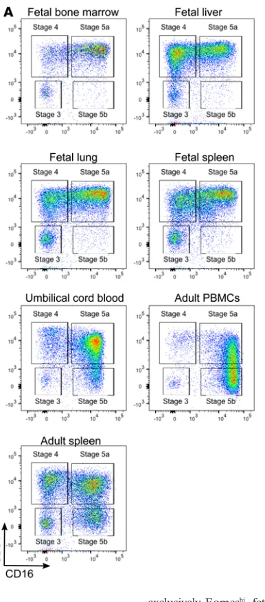 Figure 1. Fetal tissues contain fewer mature NK cells than umbilical cord blood and adult samples