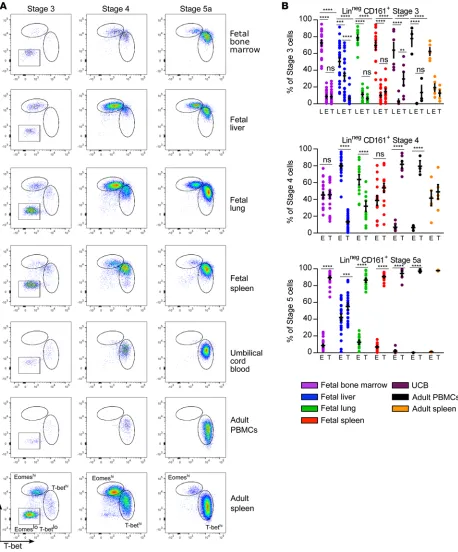 Figure 2. Both Eomes- and T-bet–expressing NK cells are found in fetal tissues and Eomeshi cells are enriched in stage 4 and fetal liver