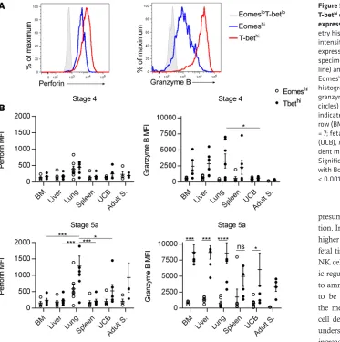 Figure 5. EomeshiT-bet cells are less mature than hi cells based on granzyme B and perforin 