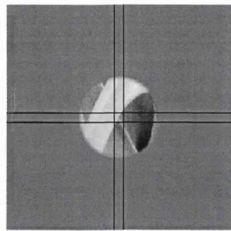 Figure 2.3. Example experimental display with crosshairs toggled in front.