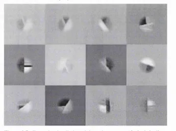 Figure 2.7. Example stimuli viewed through apertures 13 pixels in diameter.available, all of these locations are good candidates for occlusion points, presumably because they generate T-junctions