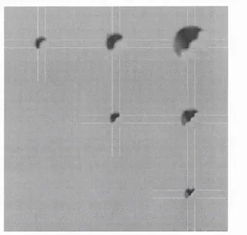 Figure 3.15. Additional example of an artifactual large-scale occlusion signature.