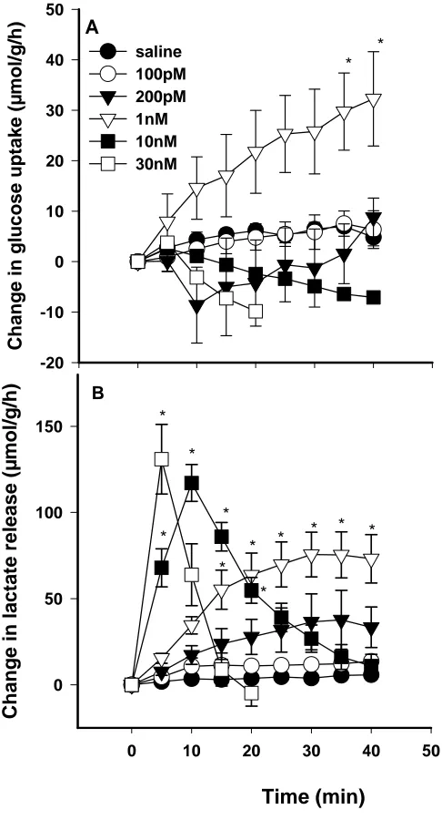 Figure 3.4.  Effect of ET-1 on the changes in glucose uptake (A) and lactate release 