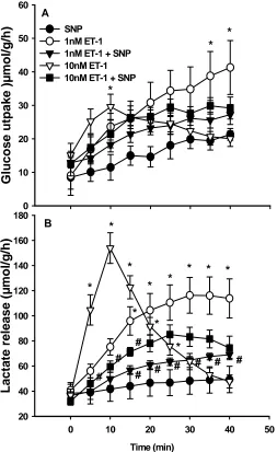 Figure 3.6.  Effect of SNP 50µM to block ET-1 mediated increases in glucose uptake were infused from t = 0 as shown in the protocol in Figure 3.1