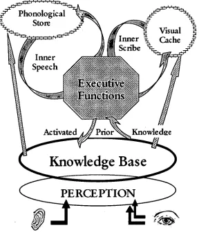 Figure 4.2. Logic's multiple component model of working memory (Logic, 2003) 