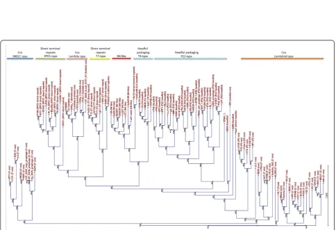 Figure 5 Proteome-based phylogenetic analysis of N4-like phages. A dendrogram was constructed based on the mean of the pairwiseBLASTP score ratios (BSRs) of the N4-like group of phages.