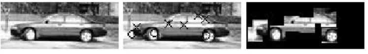 Fig. 2. The 400 patches extracted by the F¨ orstner interest operator from 50 sample images.