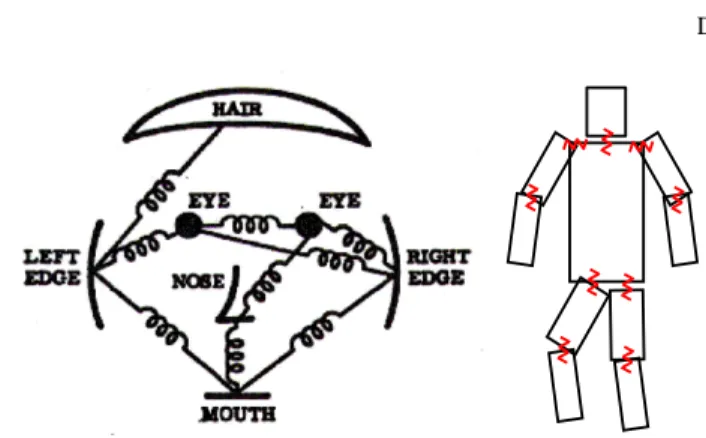 Fig. 1 One the left, we show a pictorial structure model [24, 19] which models objects using a col- col-lection of local part templates together with geometric constraints, often visualized as springs