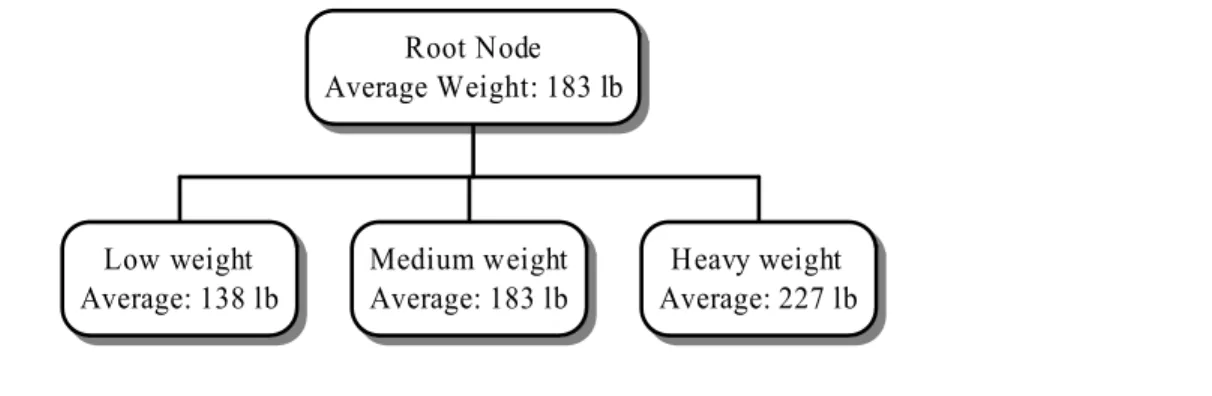 Figure 1.5:  Illustration of Decision Tree Partitioning of Physical Measurements 