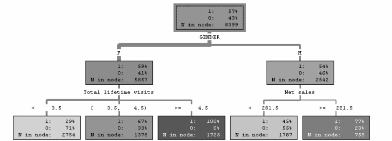 Figure 1.6:  Illustration of a Decision Tree with a Categorical Target 