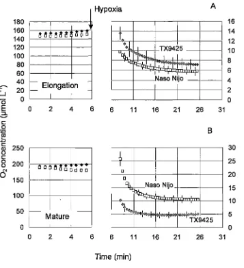 Fig. 5.3. 0 2 concentrations measured near the root surface of waterlogging (WL)-