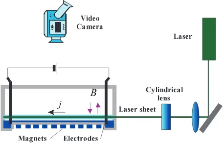 Fig. 1Schematic of the experimental setup: imaging particles