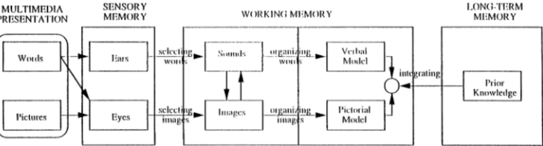 Fig. 2. A framework for a cognitive theory of multimedia learning.
