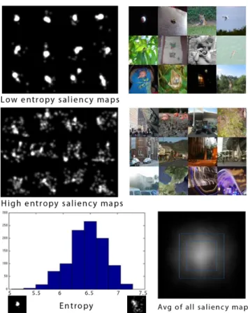 Figure 3. Images. A sample of the 1003 images that we collected from Flickr and LabelMe