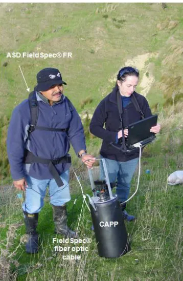 Figure 4.1. Collection of canopy pasture spectral data using the CAPP attached to an ASD FieldSpec® Pro FR