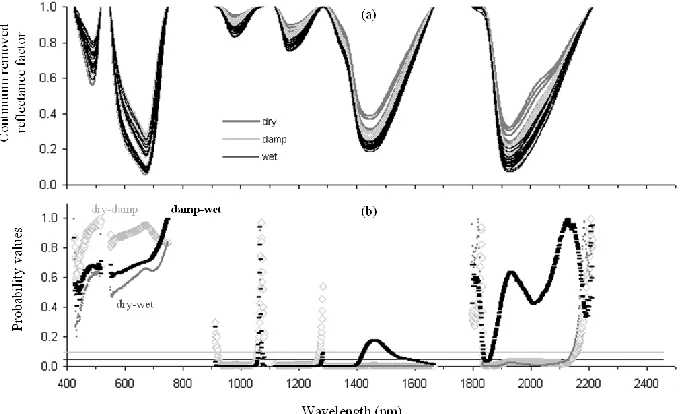Figure 4.8. (a) Continuum removed reflectance factor spectra for the 20 plots analysed