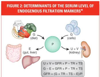 Figure 2 shows the hypothetical change in levels of a filtration marker and  esti-mated GFR based on that marker after an acute change in GFR