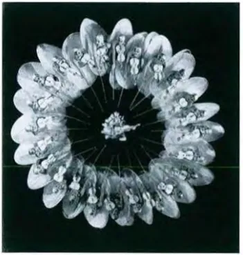 Fig. 7; Busby Berkely, Gold Diggers of/933, 1933. 