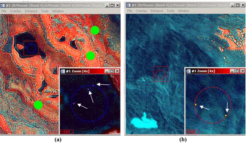 Figure 4-12: (a) Pixels causing overlap in the Water region; (b) Pixels causing overlap in the Rock region