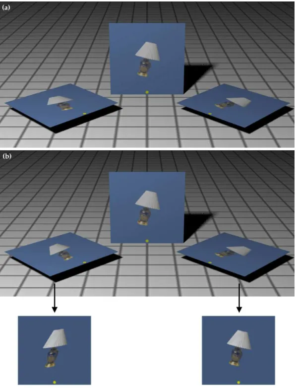 Figure 3. The image on each of the planes in panel (a) are the same. The image on the left-most plane in panel (b) is a skewed version of the image on the central plane, as shown in the rectified images below.
