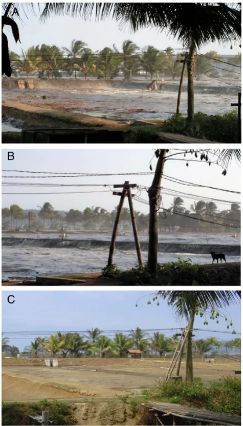 Fig. 2. Tsunami wave entering a shrimp basin (carik between 16:16 and 16:20the 30 August 2006