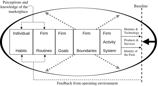 Figure 1. The processes of firm-environment interaction.