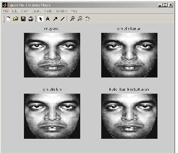 Figure 4 : Gabor-convoluted Images 