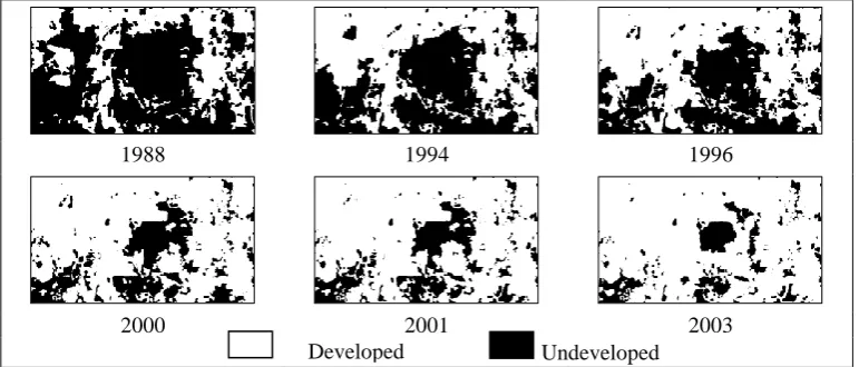 Figure. 1.  Sample dataset of satellite image viewed in ENVI. 