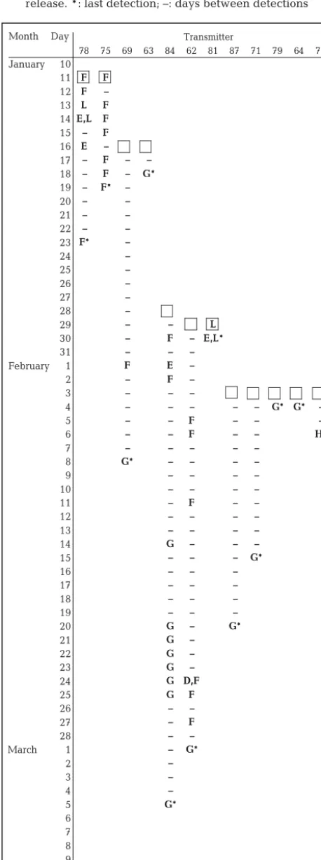 Table 3. Nototodarus gouldiwas detected, by date. Square box indicates date of tag and 